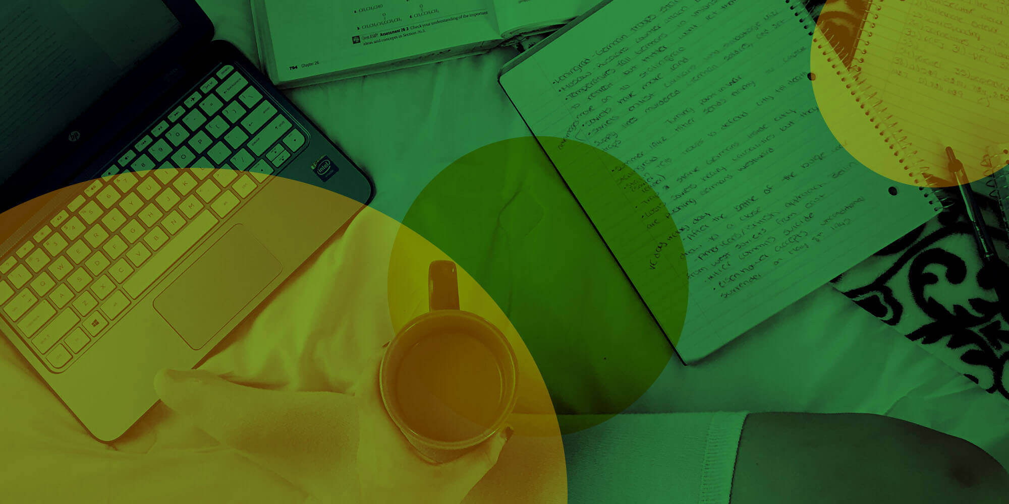 Student Success Stories: Graphic Design to UX 2 Online study tips