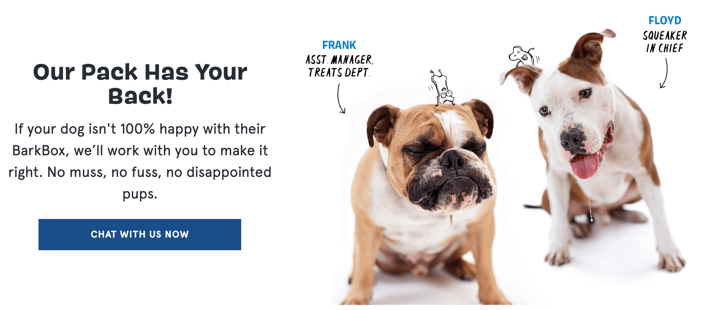 How to use storytelling in UX design 7 Barkbox tone
