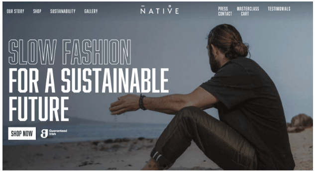 Visual Design vs. UI Design: What’s the Difference? 7 native's website homepage