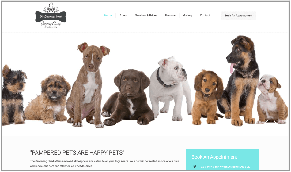 10 content design examples to take inspiration from 4 Screenshot of the Grooming Shed website homepage that shows a group of cute dogs sitting together