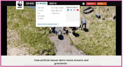 7 fundamental user experience (UX) design principles all designers should know (2024) 4 WWF homepage
